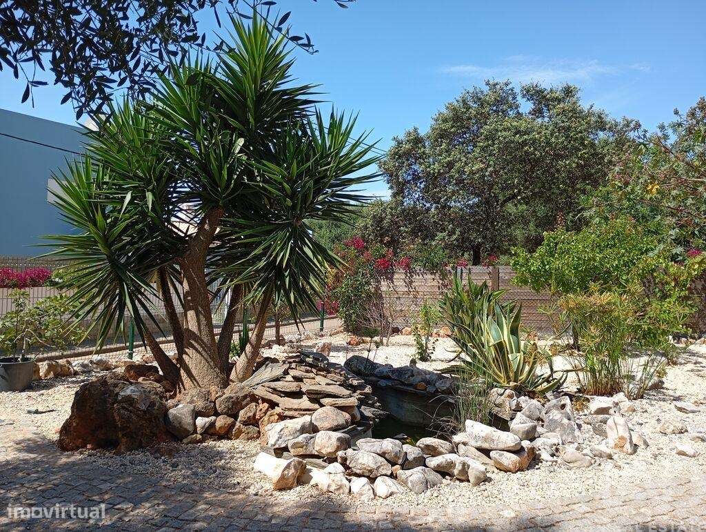 Habitação T3 em Mexilhoeira Grande de 315,00 m2 - Grande imagem: 5/25