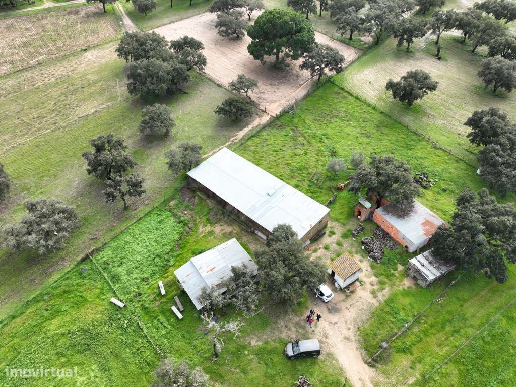Propriedade Rústica com 11 Hectares junto a Canhestros-33