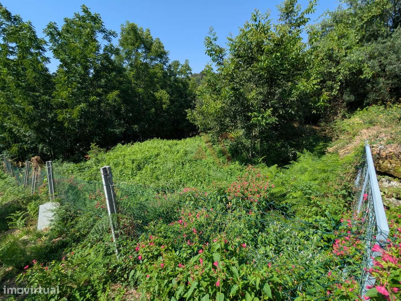 Terreno Rústico com 612,76 m² em Travassós, Fafe – Inserido em Zona de - Grande imagem: 4/6