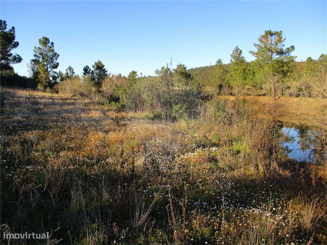 Quinta  para venda - Grande imagem: 5/24