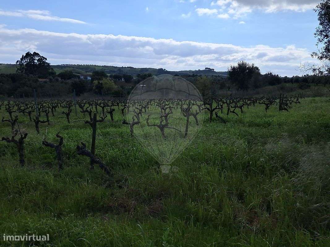 Terreno  para venda - Grande imagem: 5/6