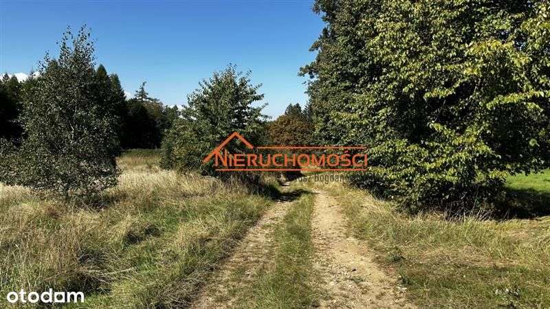 Działki w Rogówku z pięknym widokiem na pasma gór-16