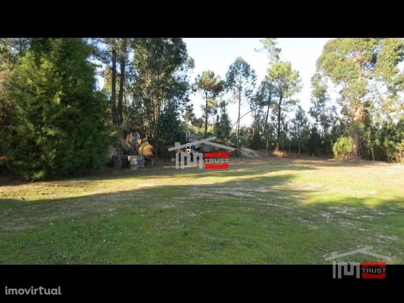 Terreno c/ cerca de 3000m2 p/ construção Perto do Castelo