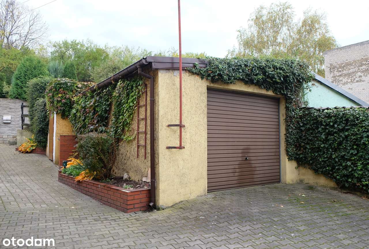 Wyjątkowo ciekawa oferta w Centrum - Czarnków-11