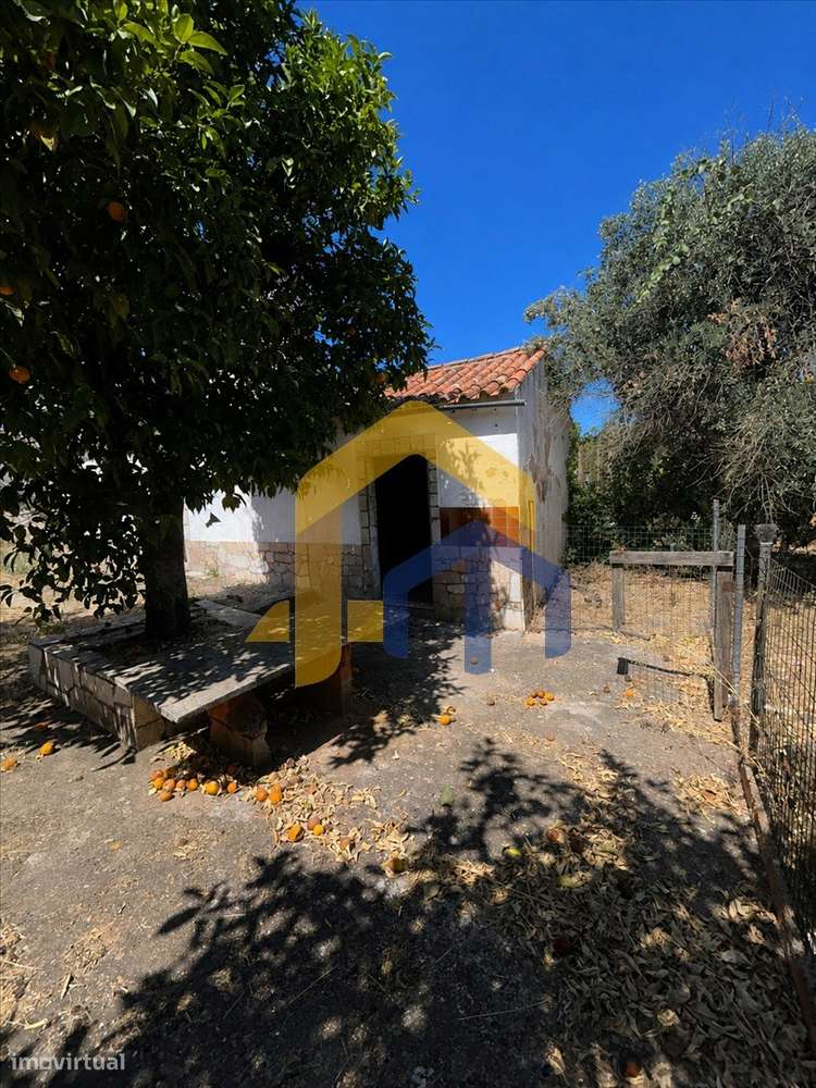 Quintinha para Recuperação Total em Glória – Estremoz-21