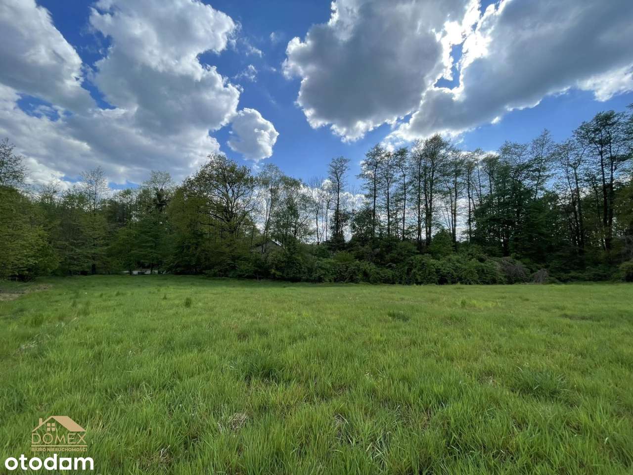 Działka w cichym i spokojnym miejscu Hażlacha - Pełny obrazek: 5/5