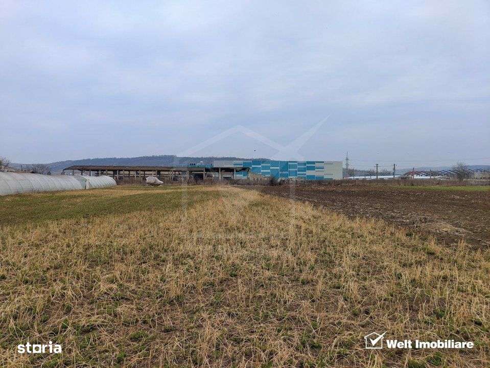 Teren industrial 3500mp, Apahida - Imagine principală: 1/3
