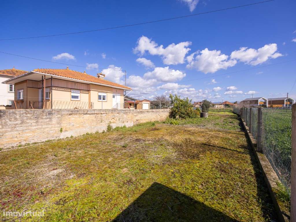 Terreno na Murtosa - Grande imagem: 5/13