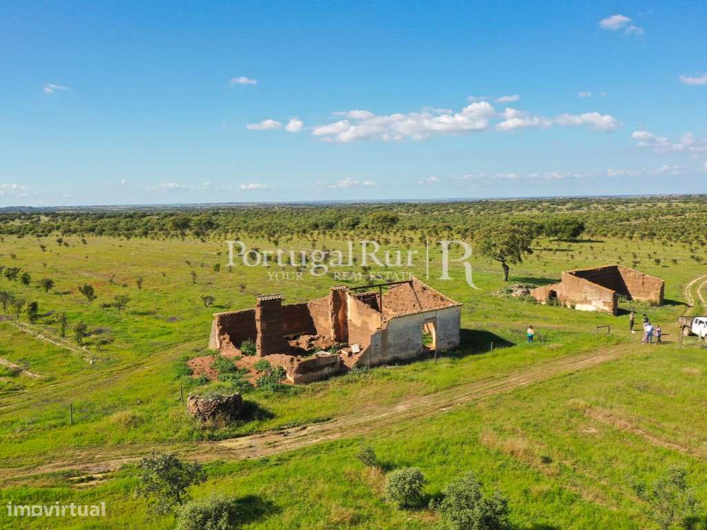Herdades de Caça com 1300 Hectares, junto do rio Guadiana-20
