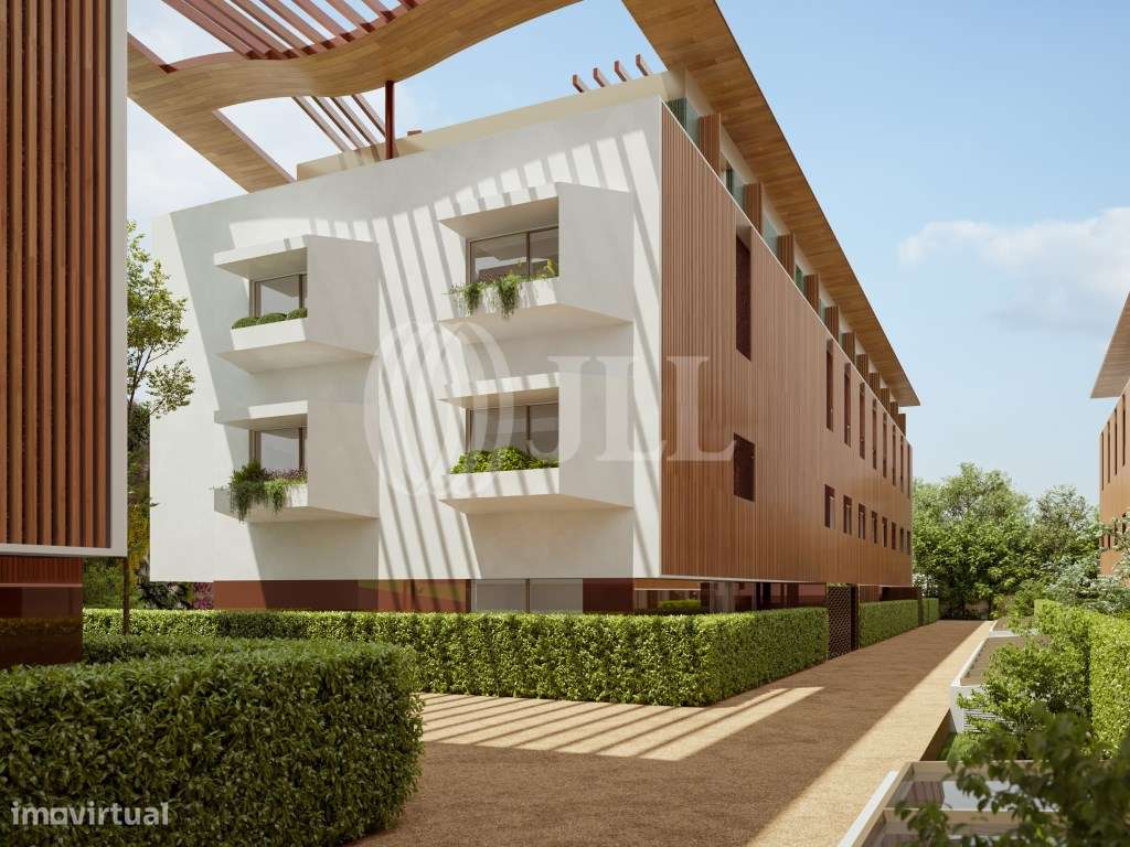 Raiz Porto - Grande imagem: 5/30