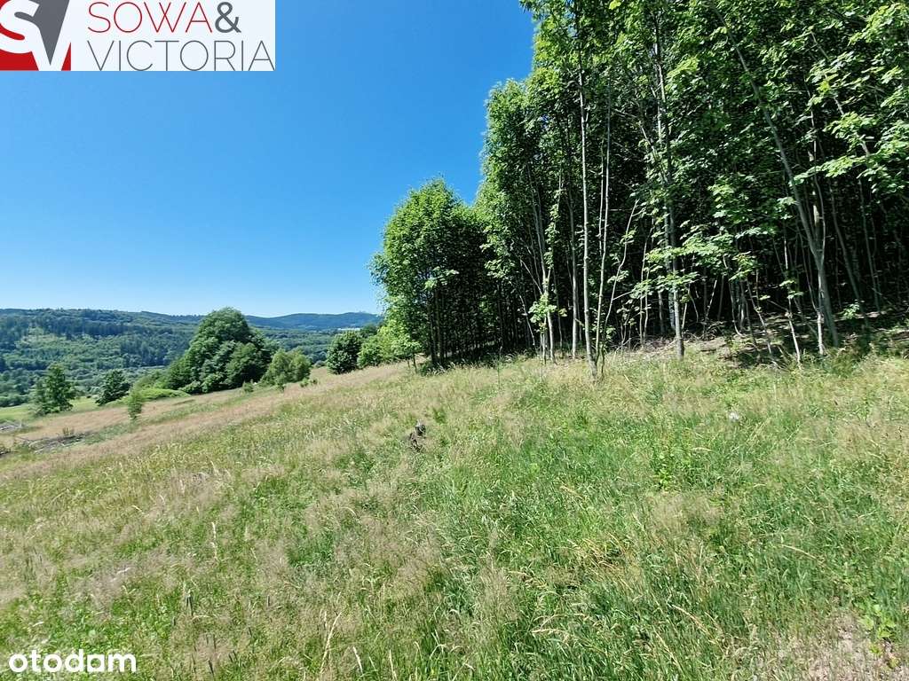 Z widokiem na góry - Pełny obrazek: 5/6