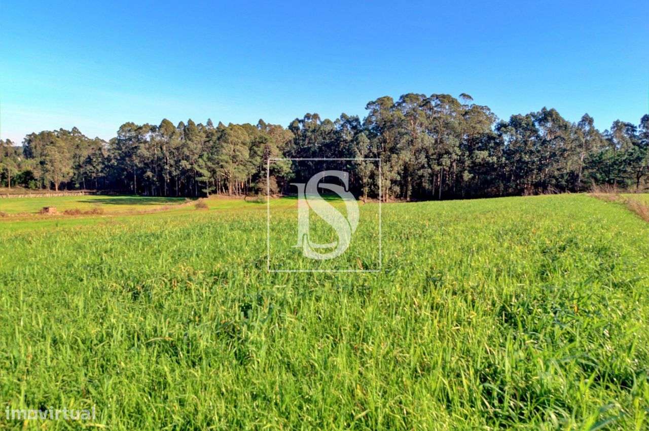 Terreno – Laúndos – Póvoa de Varzim - Grande imagem: 2/4