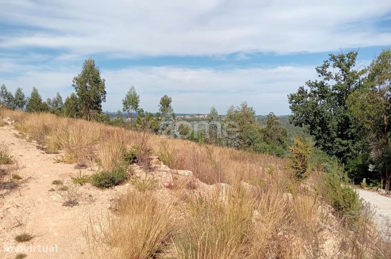 Terreno em Tonda com 2250 m2 - Grande imagem: 1/15