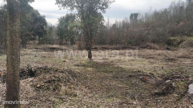 Terreno Rústico / Fundão, Pêro Viseu - Grande imagem: 1/6