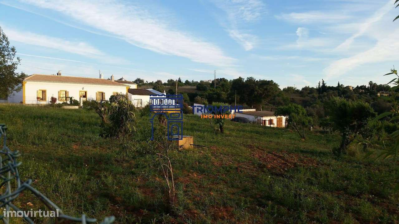 Quinta 22.440m2- ESTOMBAR - Carvoeiro-36