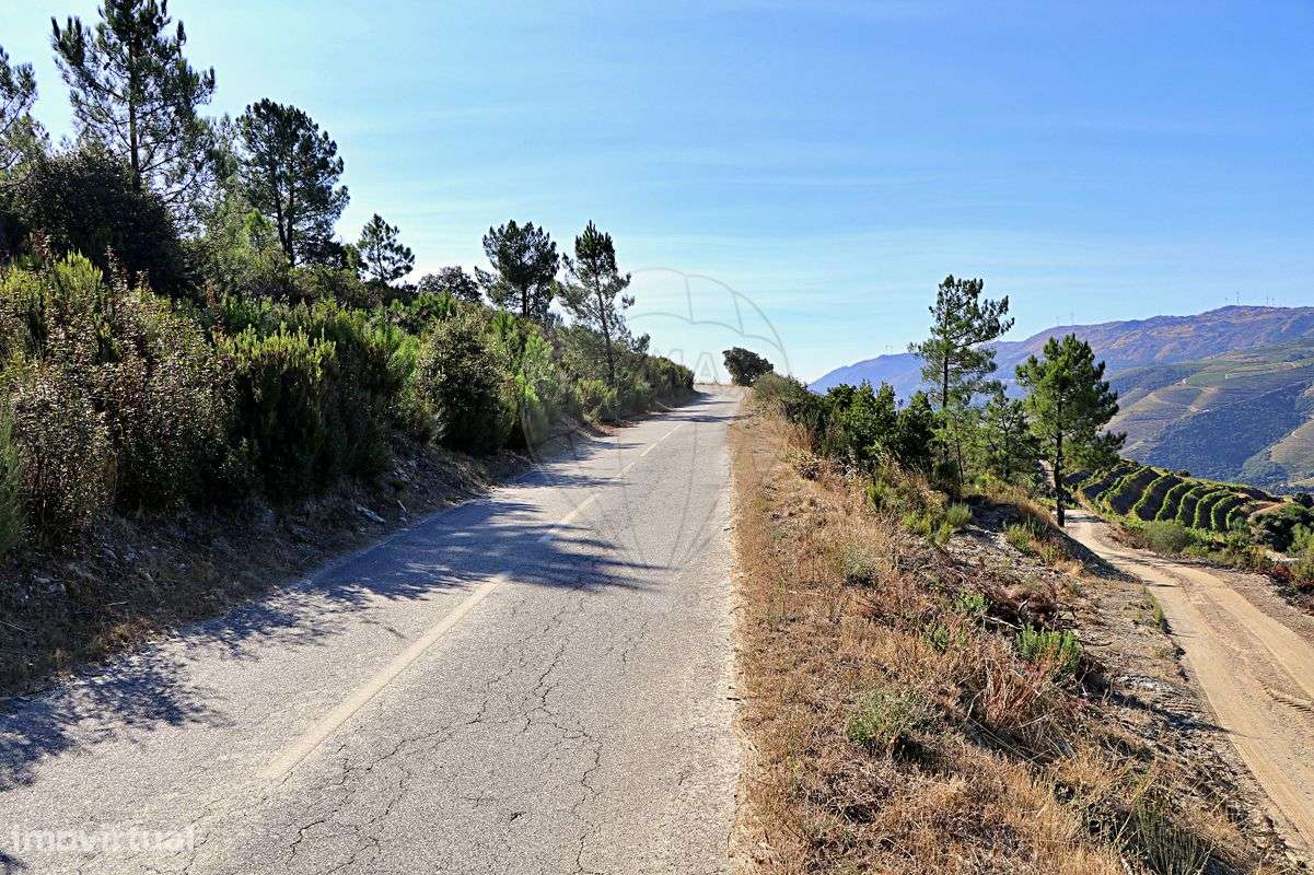 Terreno  para venda - Grande imagem: 5/17