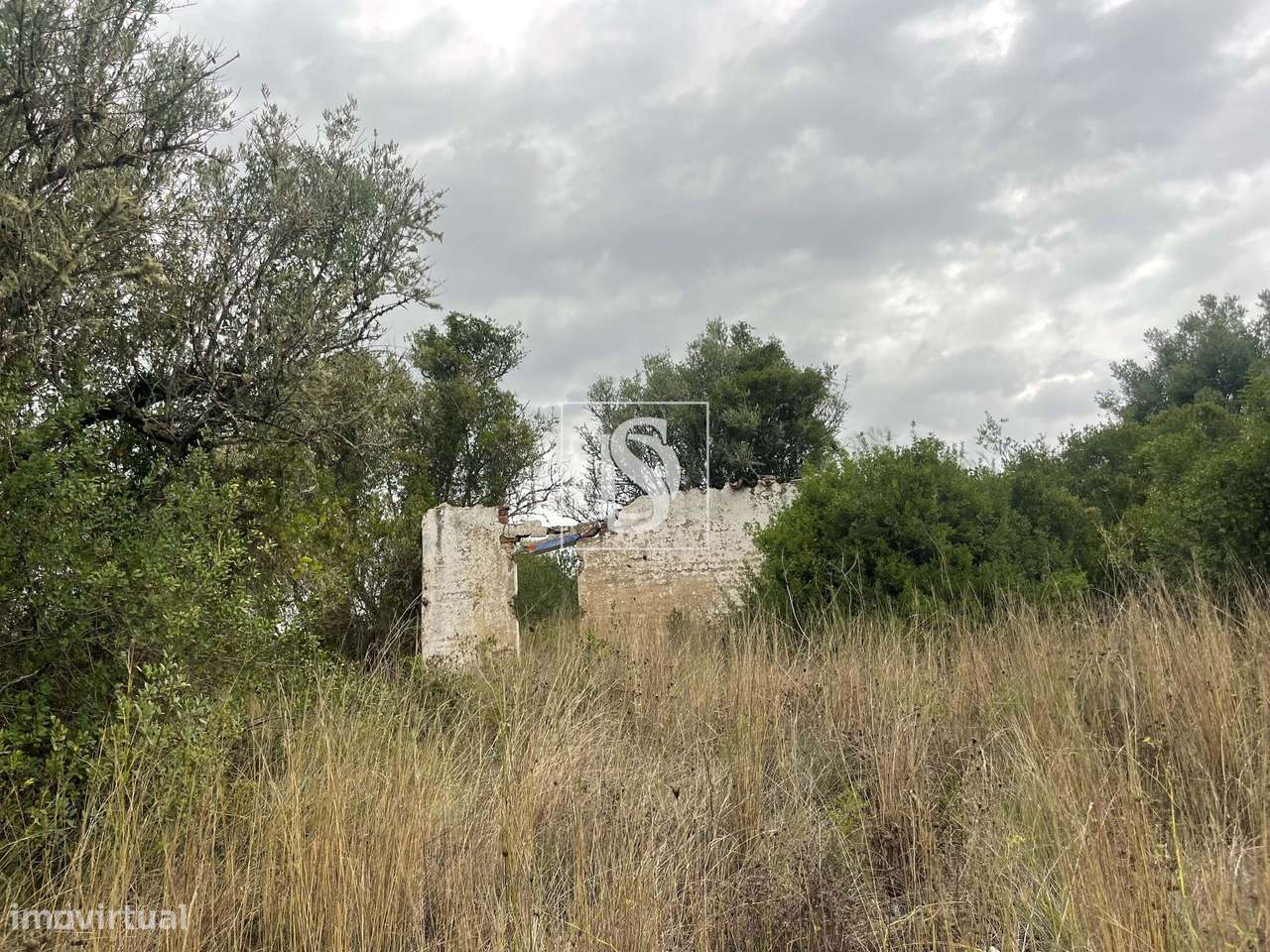 Quintinha em Montargil-26