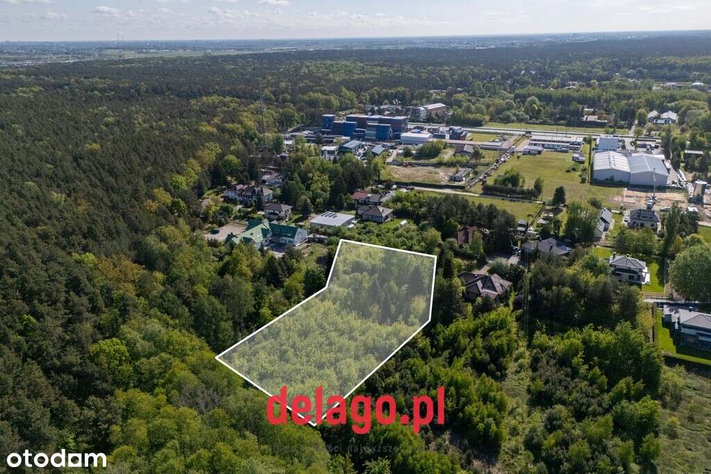 Duża działa budowlana przy lesie – Łazy - Pełny obrazek: 4/14