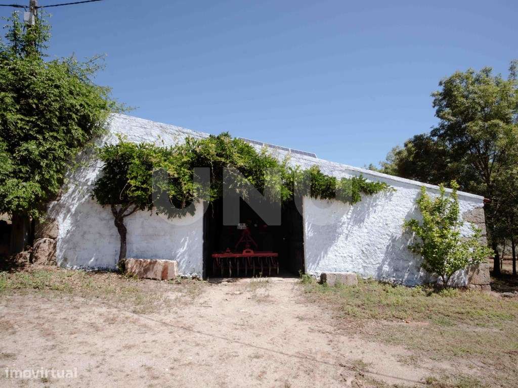 Herdade com 34 Hectares-26