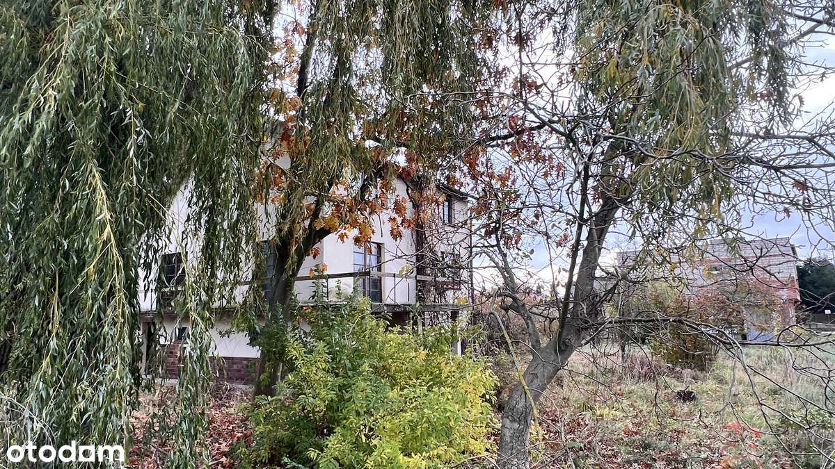 Działka narożnikowa z potencjałem w pobliżu lasu-14