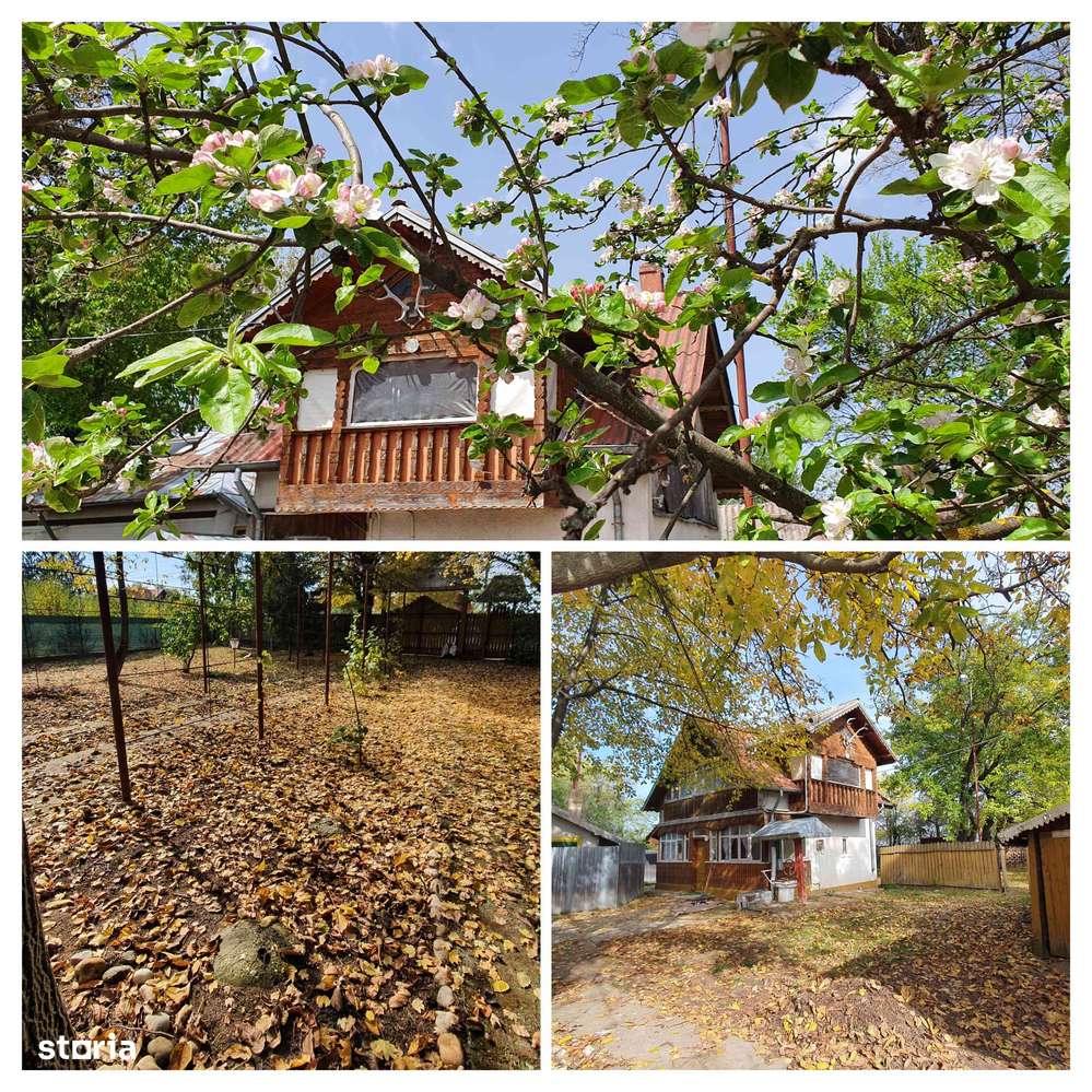 CASA + 3052m² TEREN INTRAVILAN - la iesirea A1/Olteni (30 min de Buc) - Imagine principală: 4/20