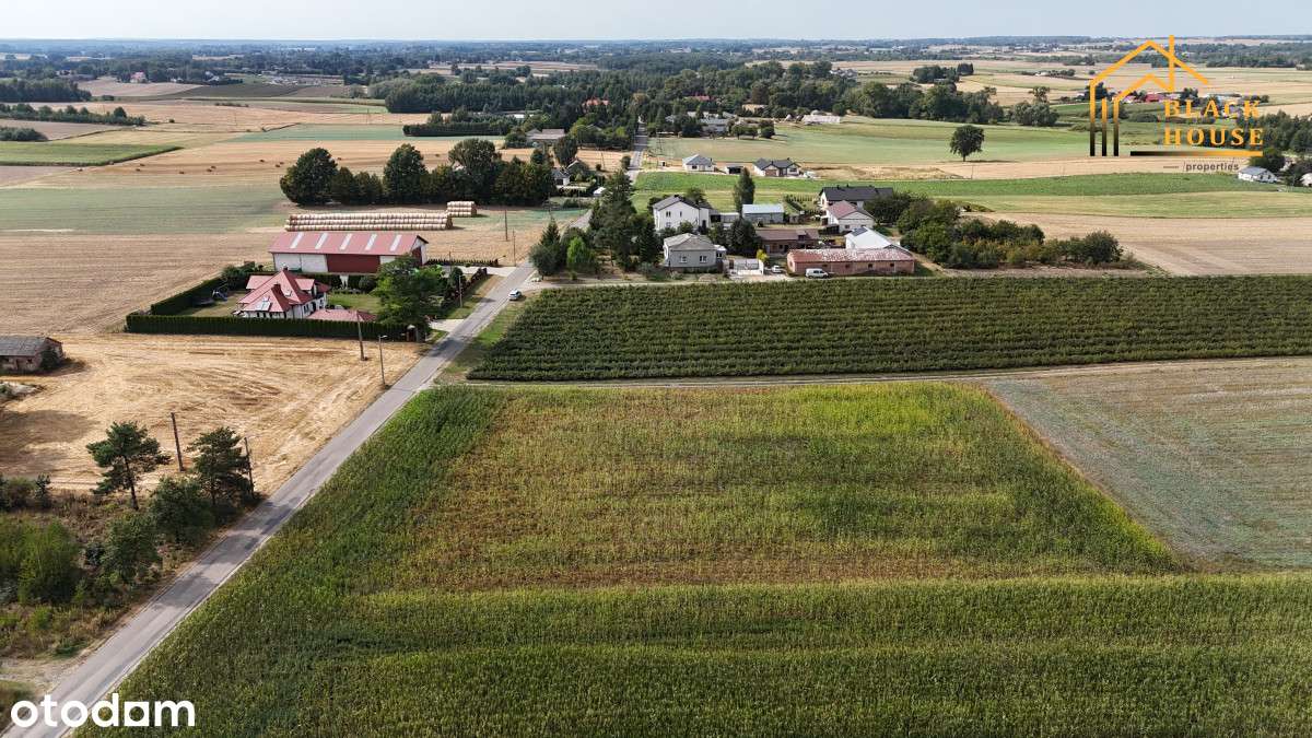 Tomaszowice Kolonia - budowlana działka 23 a - Pełny obrazek: 4/5