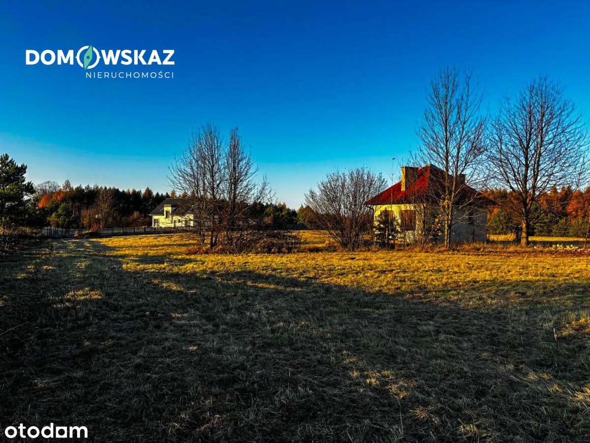 Krajobrazy Jury Krakowsko-Częstochowskiej - Pełny obrazek: 4/11