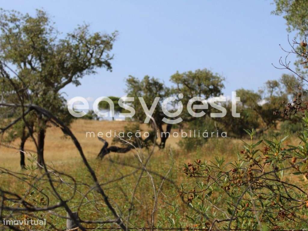 Terreno com Ruína - Melides - Grande imagem: 4/20