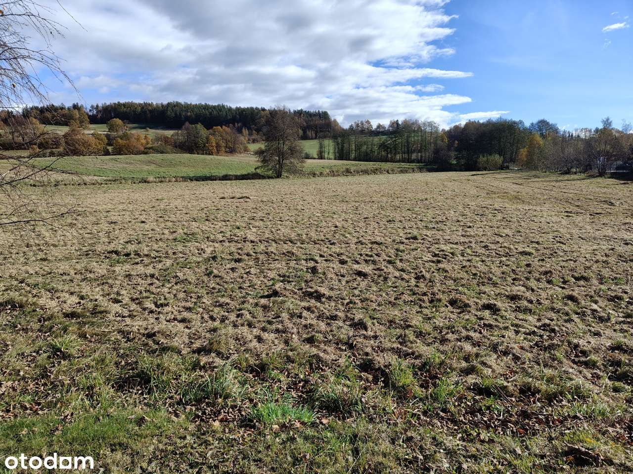 Działka w Sosnówce-6