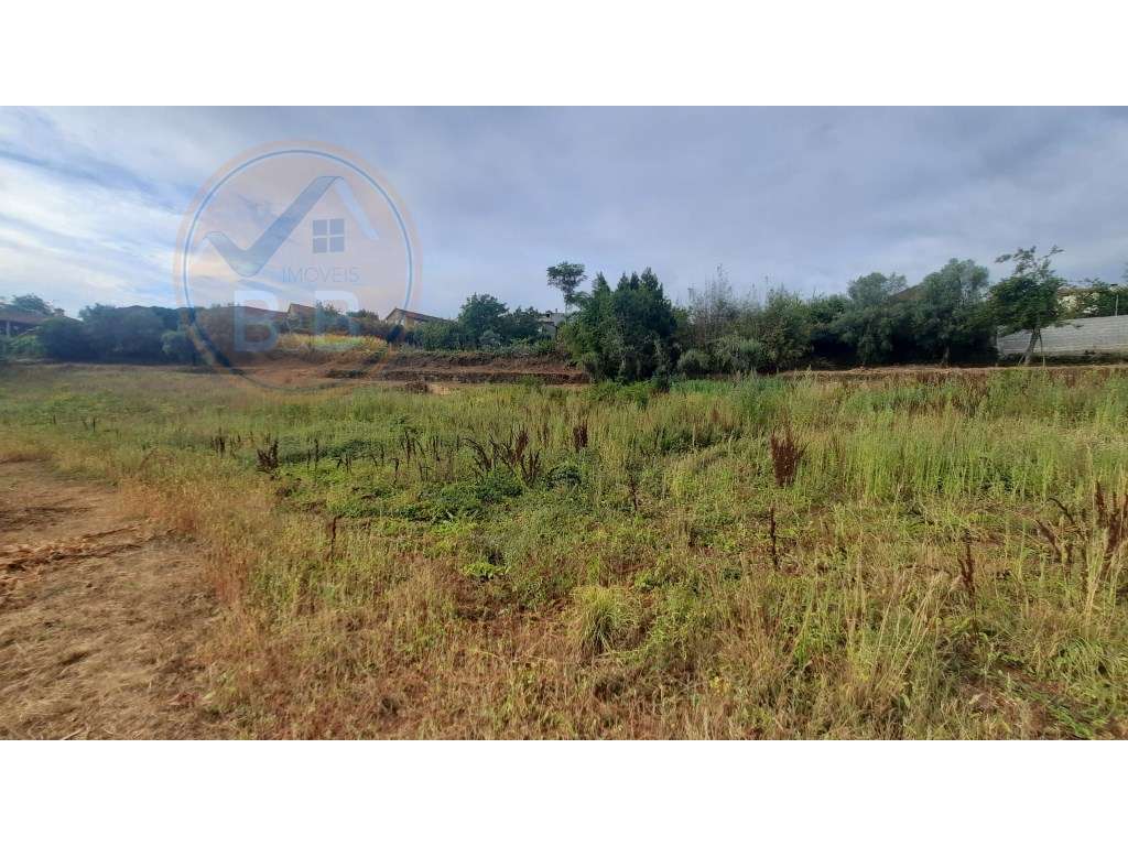 LOTES PARA CONSTRUÇÃO - Grande imagem: 5/11