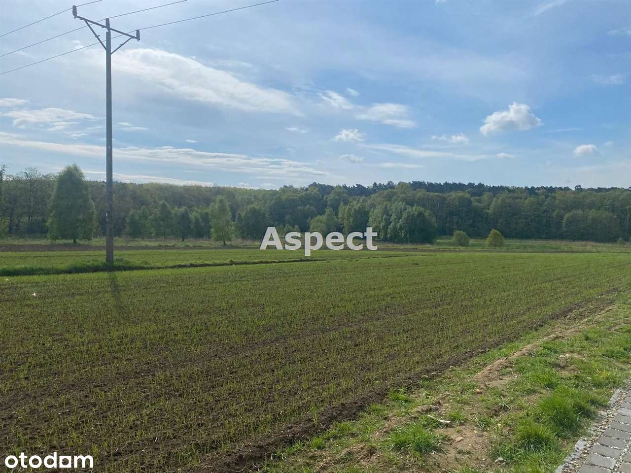 Dom wolnostojący z widokiem na las - Pełny obrazek: 5/7