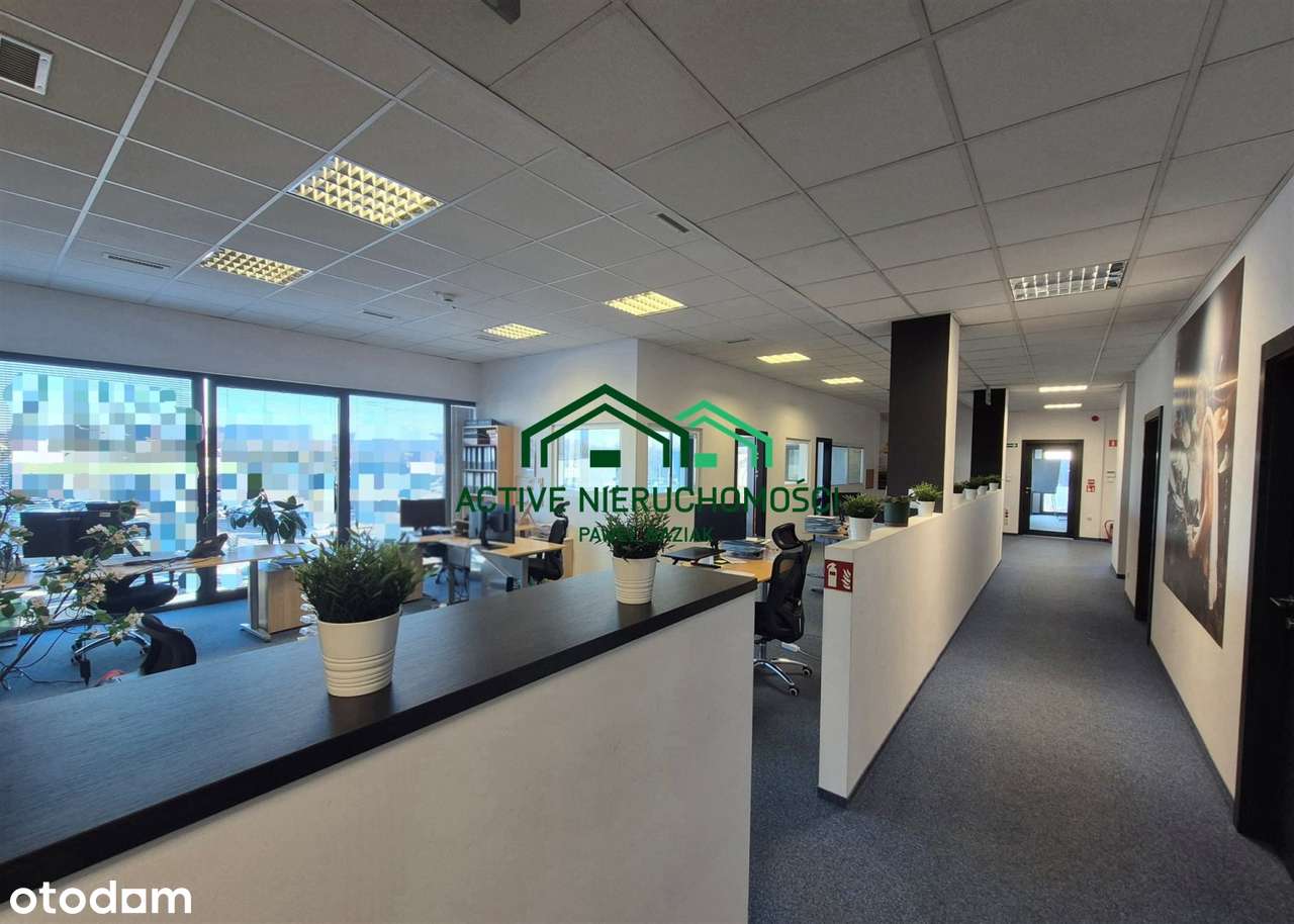 Hala, magazyn 2160m2 + biura 390m2, Balice - Pełny obrazek: 4/11