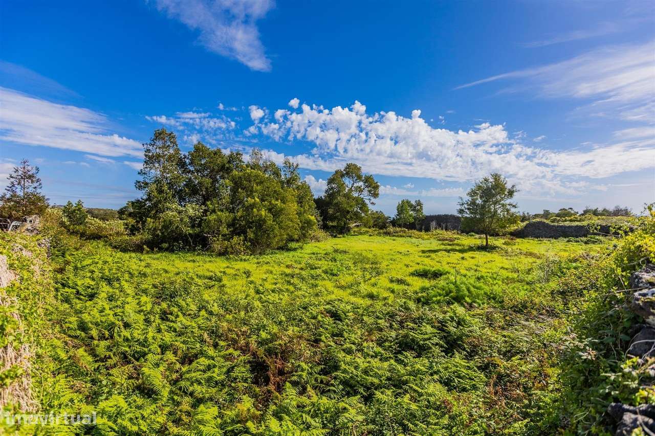 Terreno - Nossa Sra. do Rosário - Grande imagem: 5/5