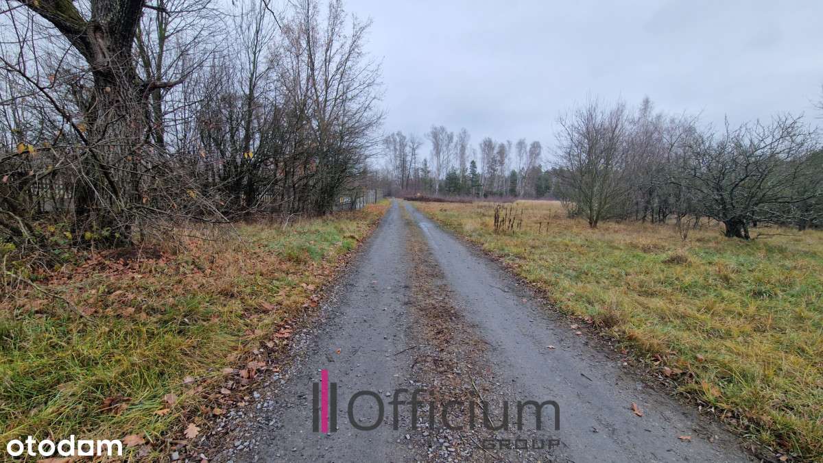 Sprzedam działkę pod zabudowę lub rekreację - Pełny obrazek: 5/8