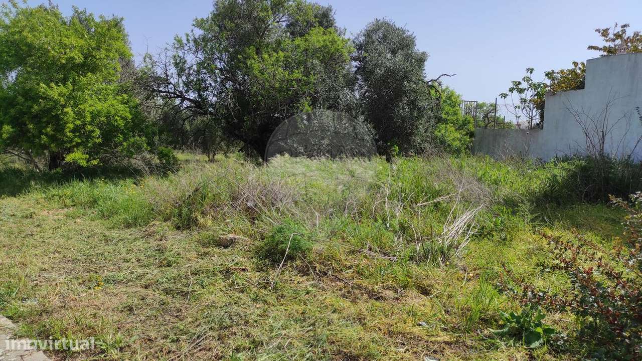 Terreno  para venda - Grande imagem: 2/5