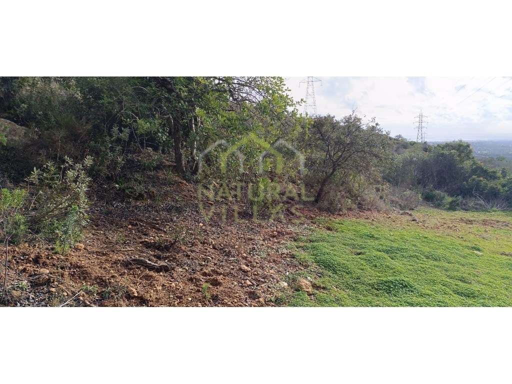 Terreno Rústico com Vista Mar em Alcaria Cova, Estoi - Grande imagem: 2/6