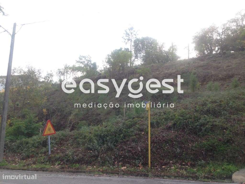 Terreno c/2000m2 Santa Clara - Grande imagem: 2/7