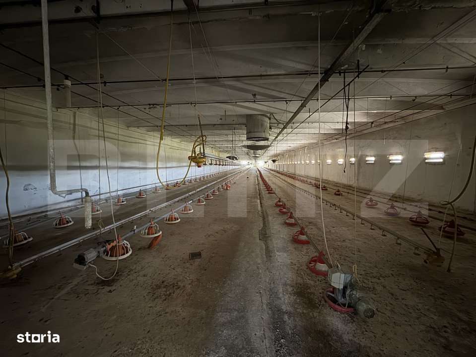 Spatiu industrial, 28.100mp, zona Bucovat - Imagine principală: 3/19