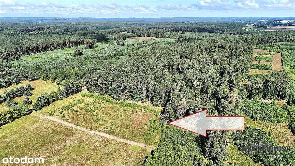 Okolica jeziora Dołgie i kompleksów leśnych. - Pełny obrazek: 4/20