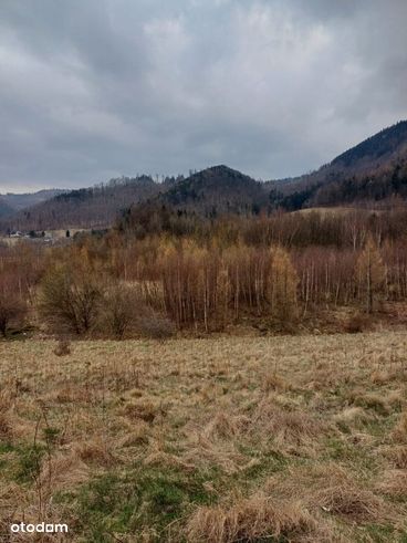 Pilnie sprzedam dużą widokową działkę budowlaną