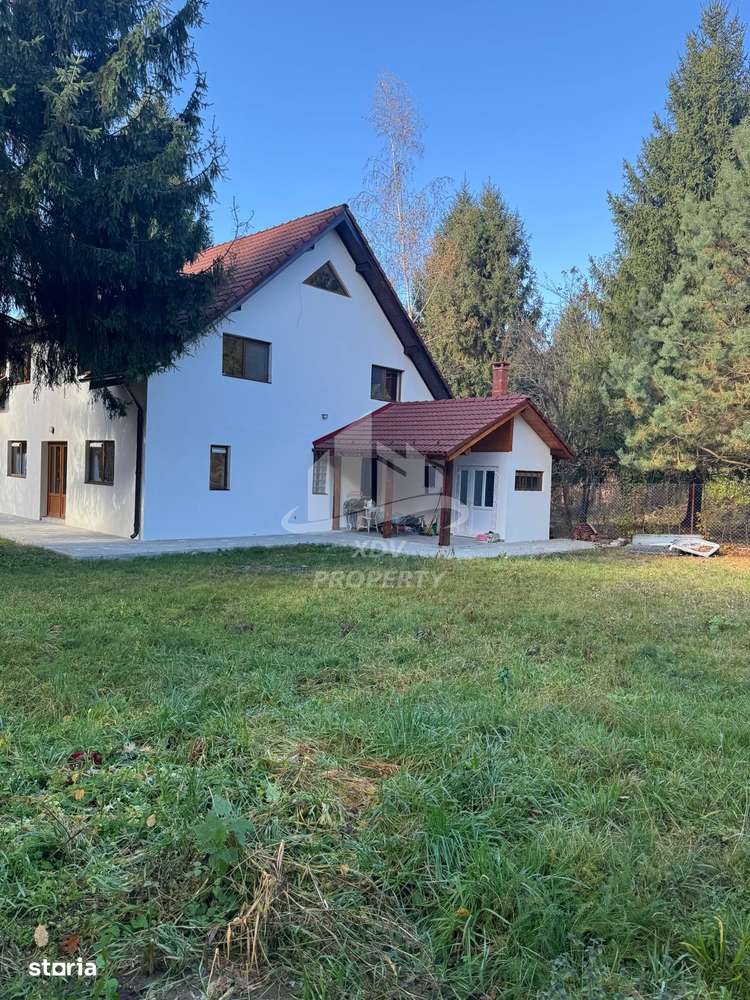 Pensiune/ Vila Valea Avrigului-3