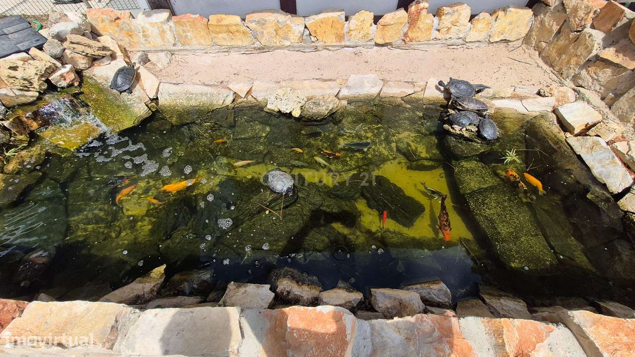 Bangalo no Pinhal Novo-15