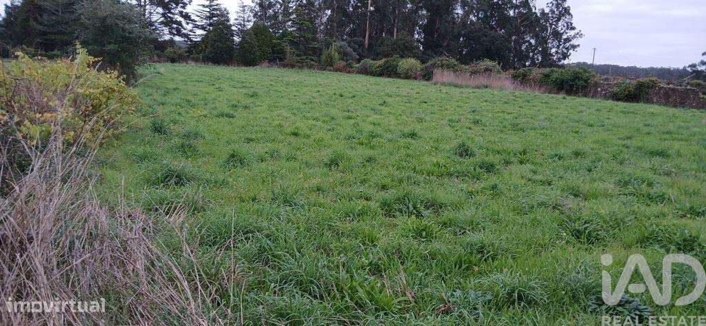 Terreno Agrícola em Fonte Boa e Rio Tinto - Grande imagem: 5/35