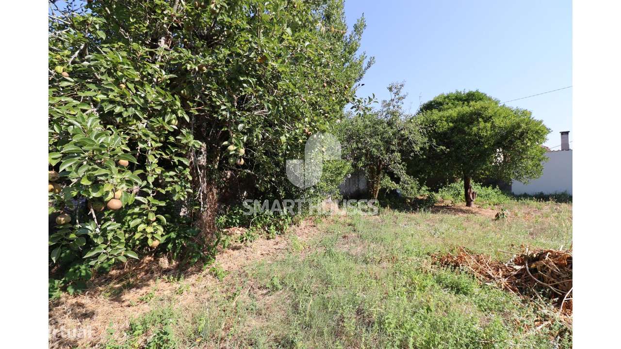 Moradia T2 Couto do Mosteiro c/ terreno-26