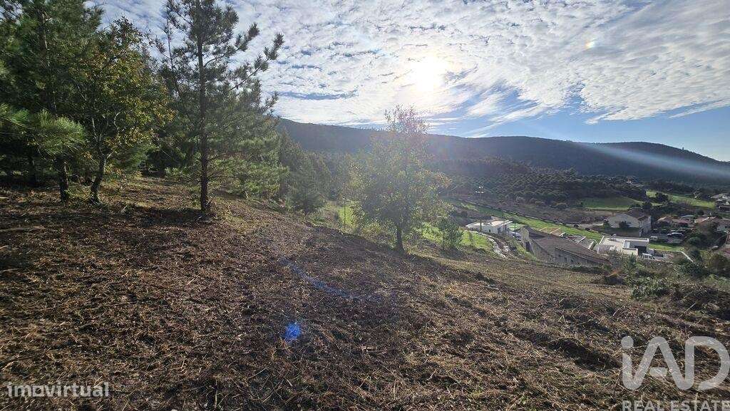 Terreno para construção em Lamas e Cercal - Grande imagem: 4/39