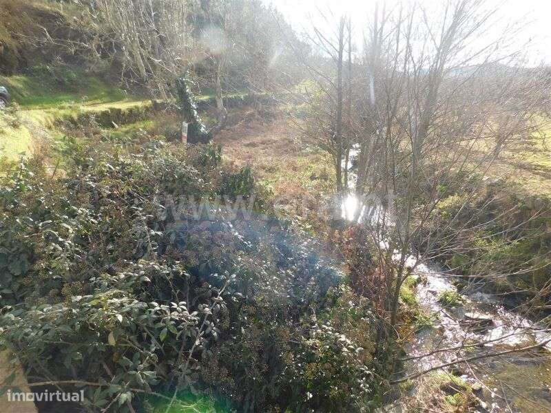 Terreno / Fundão, Souto da Casa - Grande imagem: 2/8