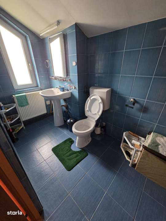 Casa P+M cu teren de 18 ari, Baia Sprie-13