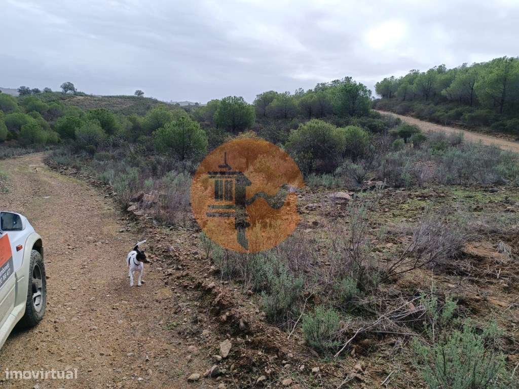 TERRENO COM 12.9 HECTARES - POSSIBILIDADE DE CONSTRUÇÃO - TURISMO -... - Grande imagem: 5/34
