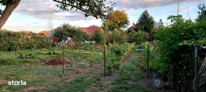 Proprietate individuala Bod S+P+E+M,zona de vile,837mp,149900 eur-1