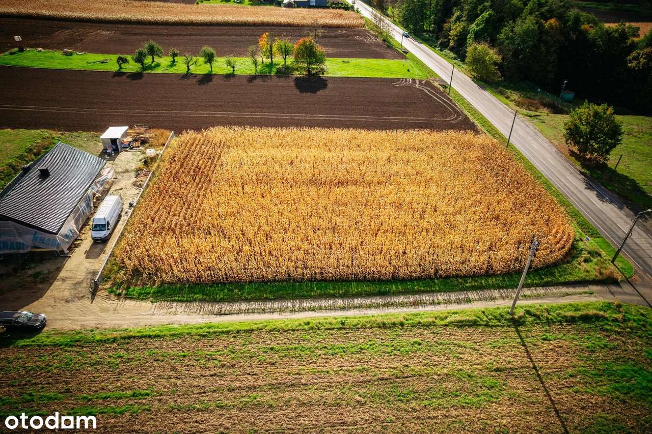Kiedy szukasz ciszy, natury w  nowoczesnej zabudowie jednorodzinnej-5